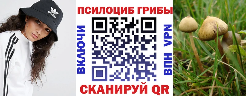 Псилоцибиновые грибы MAGIC MUSHROOMS  MEGA сайт  Малоархангельск 